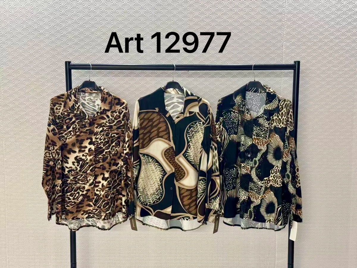 Oversized printed shirt 2