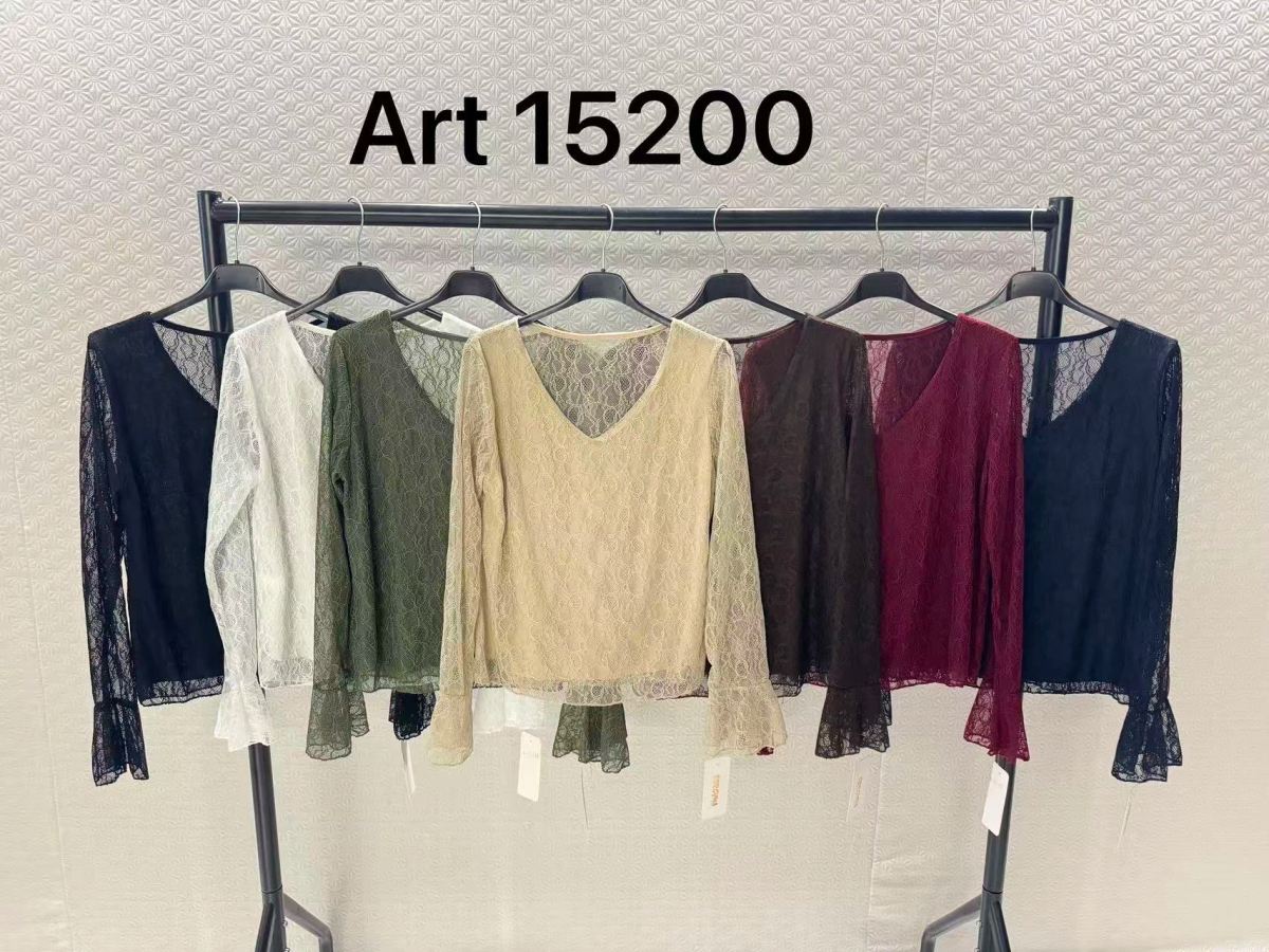 V-neck lace blouse with lining 3